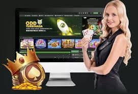 bb banglabet বাস্কেটবল অডস বৈশিষ্ট্য কার্ড
